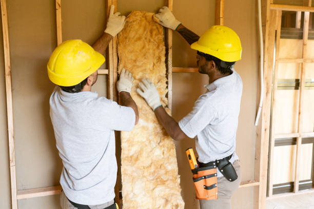 Best Insulation for New Construction  in Desert Palms, CA